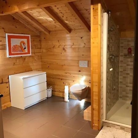 Beautiful Chalet Vacheresse